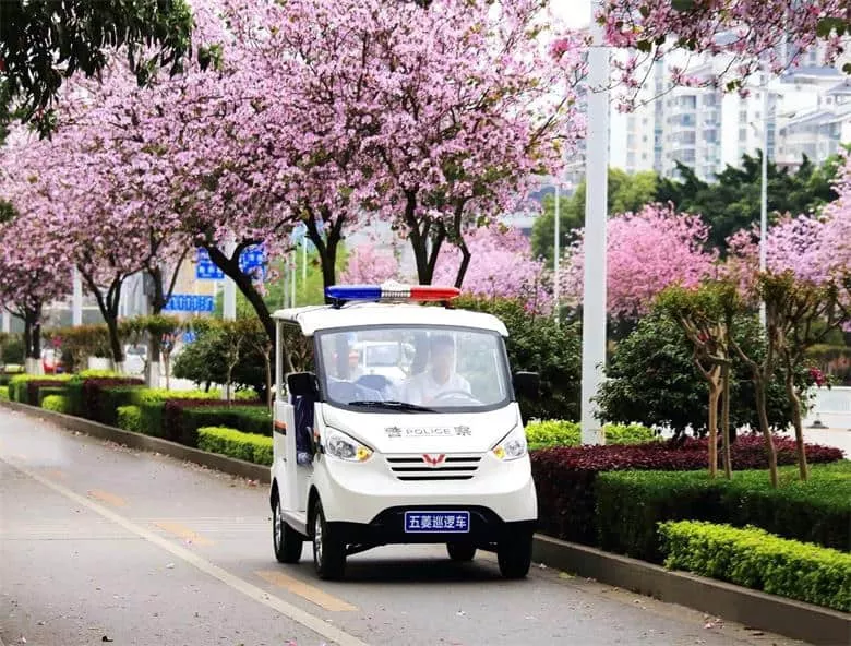 警用电动巡逻车的品牌-用了这一招,你的电动巡逻车会更加耐用-五菱