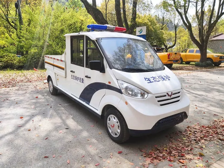 四轮电动巡逻车价格-点击这里了解[五菱]