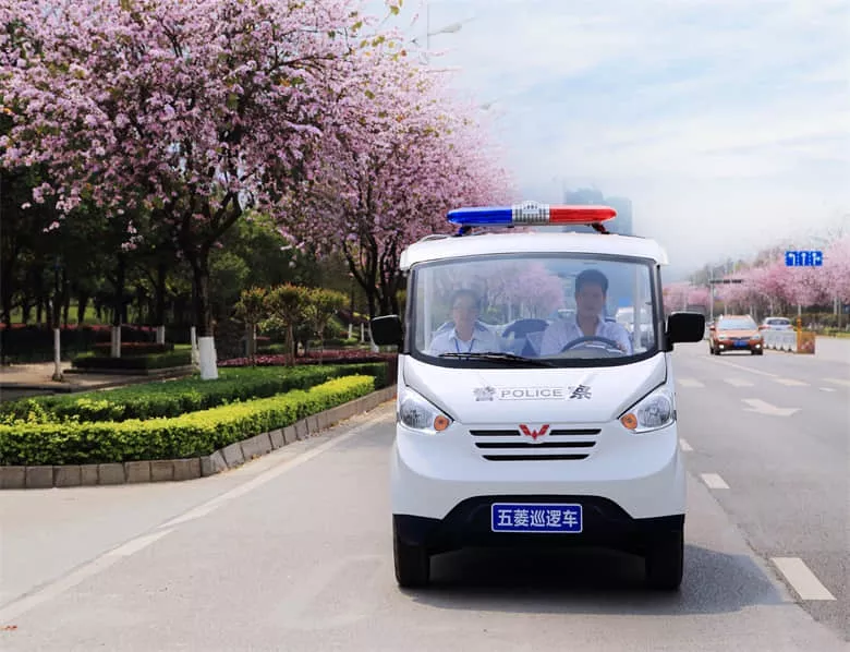电动巡逻车充不进电－售后1小时上门服务[五菱]