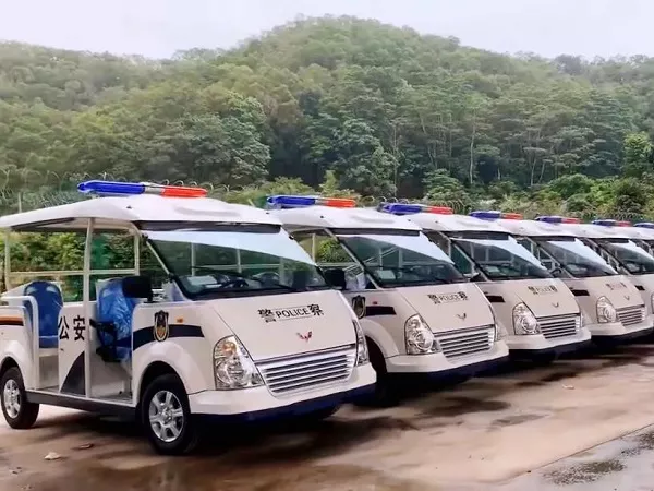 电动巡逻车哪里有卖的-快速响应，快速上门[五菱]