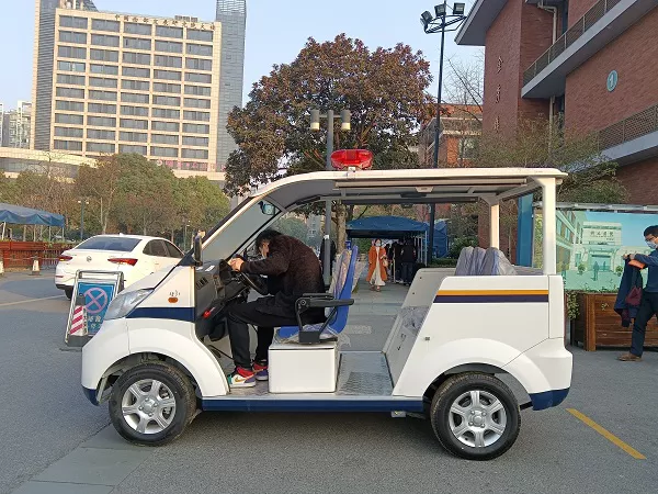 电动巡逻车报价-终于养得起车啦，冬天天赋点满[五菱]