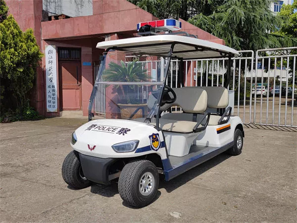 电动巡逻车品牌排行榜有哪些？-电动巡逻车的适用范围有哪些[五菱]