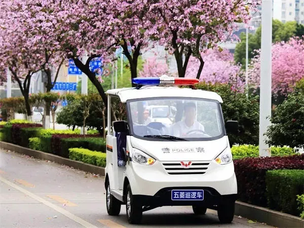 电动巡逻车厂家：保持高性能的关键点[五菱]