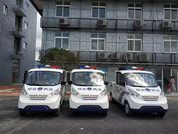 电动巡逻车图片大全有哪些？——第一次开巡逻车需要注意什么[五菱]