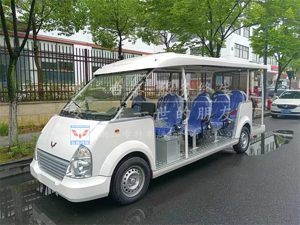 电动巡逻车品牌有哪些？—电动巡逻车助力打造和谐社会[五菱]